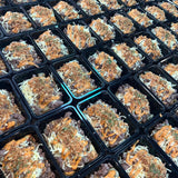 MEAL 7:  SCRANDIGGITY BURGER BOWL